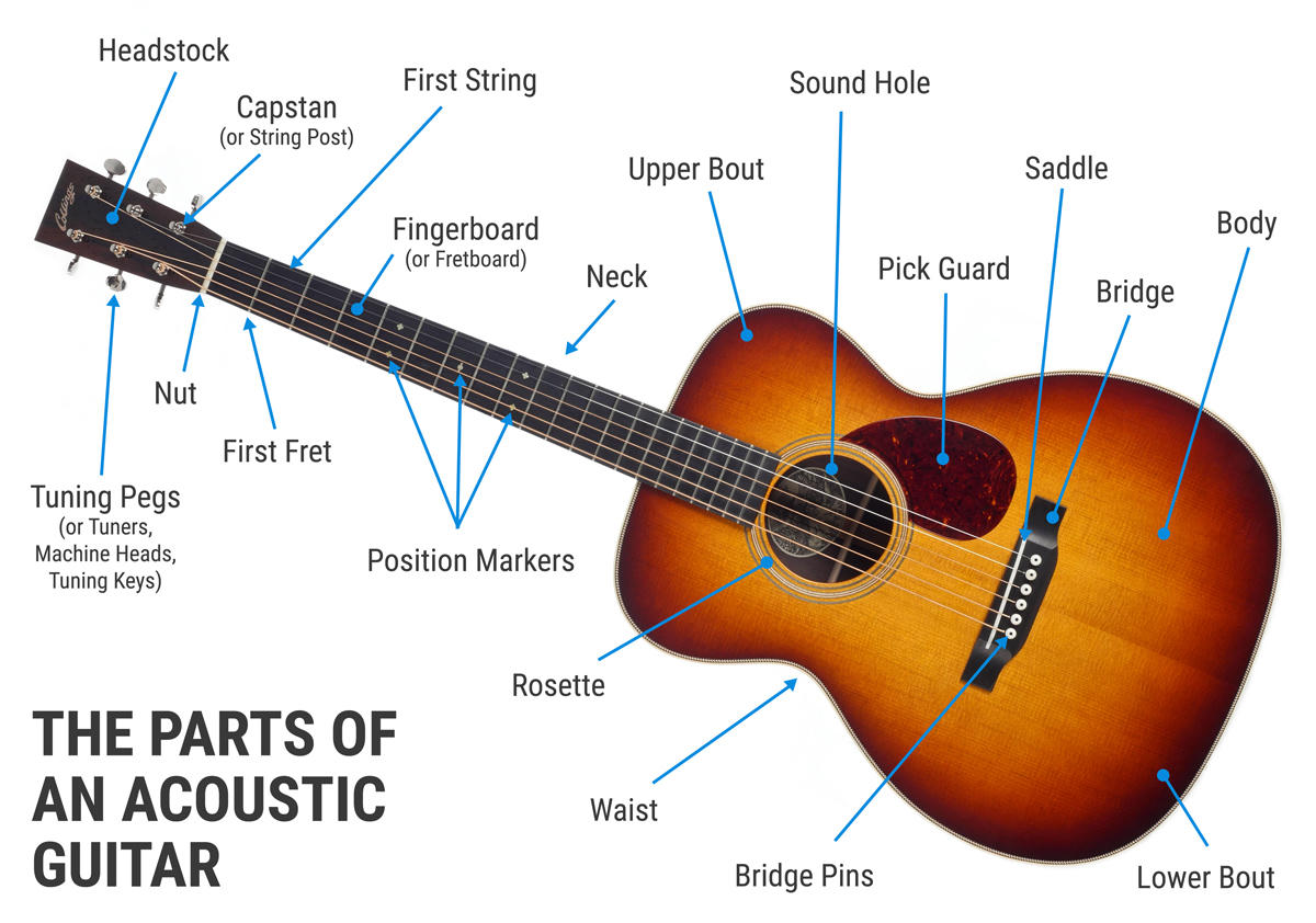 Labeled diagram of the parts of an acoustic guitar including headstock, nut, frets, neck, body, bridge, saddle, and sound hole